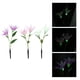 thumbnail image 3 of Lámpara de césped LED estilo lirio con energía solar, luz de jardín de 3 colores para patio al aire libre, 3 of 8