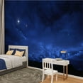 thumbnail image 2 of Peel and Stick Wallpaper Night sky filled stars Modern Art Wall Mural Decor Self Adhesive and Removable 100in x 144in, 2 of 8