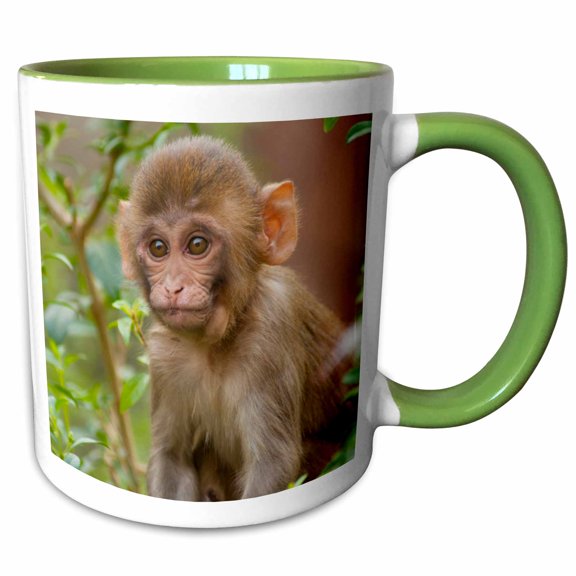 3drose, Rhesus Monkey Baby, Monkey Temple, Jaipur, Rajasthan., 15oz Two-tone Green Mug