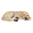 thumbnail image 6 of Large Realistic Sleeping Yellow Labrador Retriever Statue 21"H Golden Retriever, 6 of 10