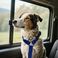 thumbnail image 4 of Car Pet Belt Dog Car Leash Cute Pet Car Adjustable Rope Rope, 4 of 4
