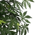 thumbnail image 2 of Vickerman Everyday 6 Indoor Artificial Japanese Maple Executive Tree - Real Dragonwood Trunks - Decorative Rattan Basket - Maintenance Free, 2 of 4