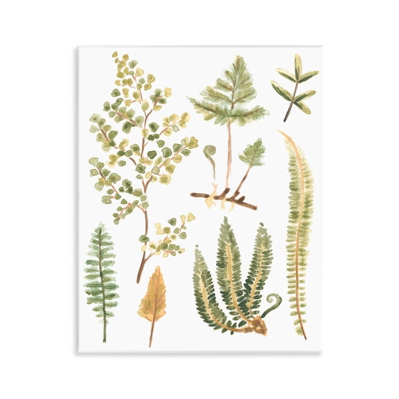 Stupell Industries Wild Forest Ferns Botanical & Floral Painting Unframed Art Print Wall Art, 11 x 14
