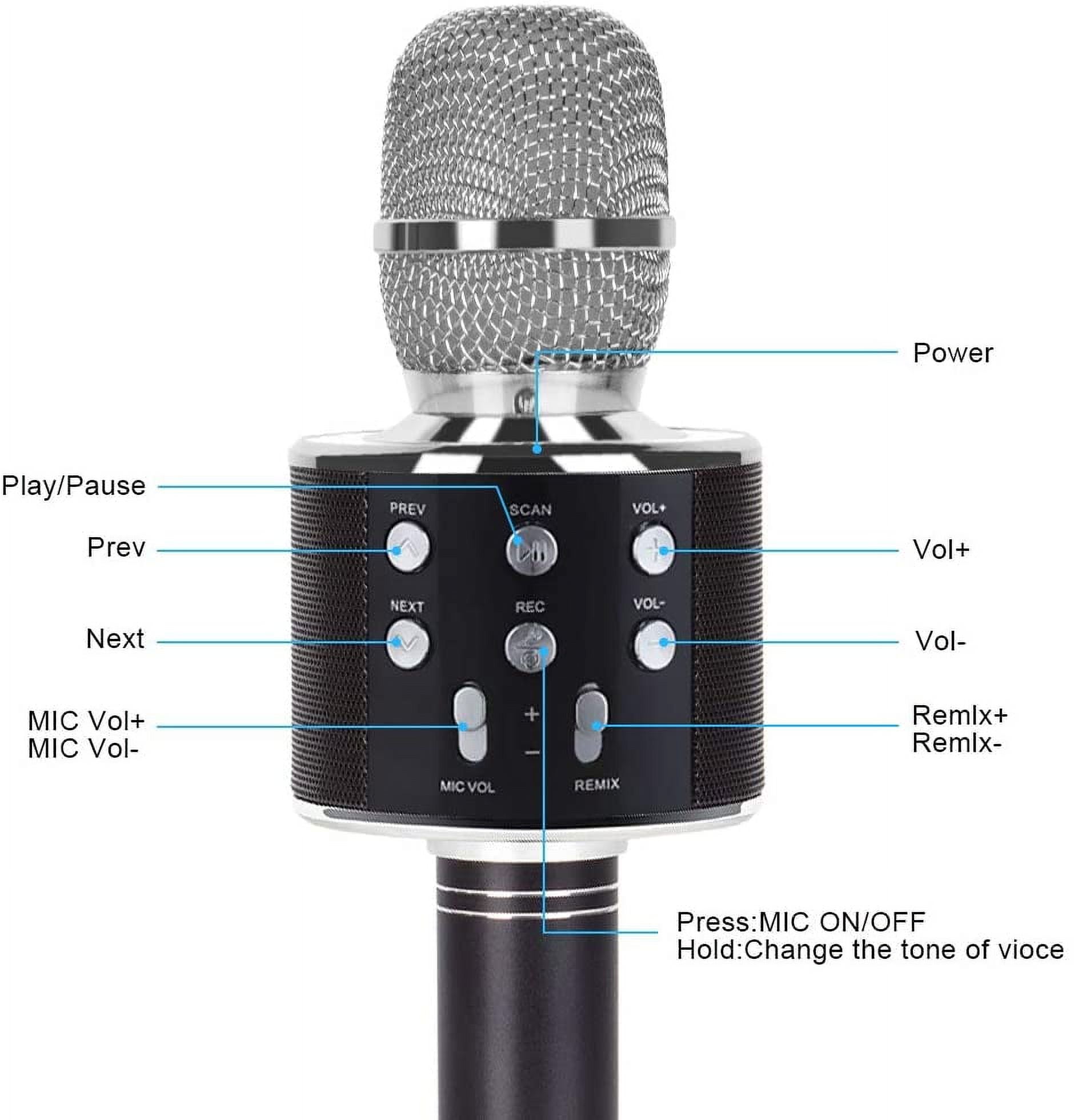 haut-parleur Portable sans fil Bluetooth support Microphone karaoké TF  carte U disque AUX FM Radio - IPGOLD