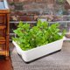 thumbnail image 1 of unbranded 2Ud Macetero Para Plantas Con Fácil Ideal Para Huertos Y, 1 of 8