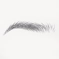 thumbnail image 3 of Unique Bargains Tatouage Simulation Sourcils pour Femmes 1 Pce Crochet de Queue, Noir, 3 of 5