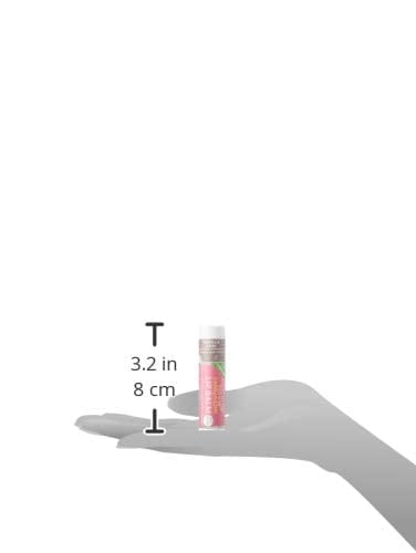 (Pack Of 24) Soothing Touch Lip Balm Chai Vanilla 0.25 Oz