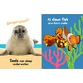 thumbnail image 7 of Ocean Friends: Touch and Feel (Hardcover), 7 of 7