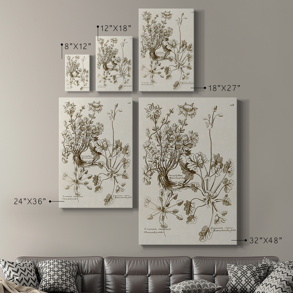 Sepia Botanical Journal IX Premium Gallery Wrapped Canvas - Ready to Hang