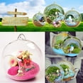thumbnail image 5 of CAROOTU 2017 Creative Hanging Glass Ball Vase Flower Plant Pot Terrarium Container Home, 5 of 5