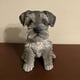 thumbnail image 2 of Estatua de cachorro Schnauzer sentado, escultura de resina para césped, decoración de jardín súper bonita Hy, 2 of 5