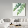 thumbnail image 3 of Trademark Fine Art 'Ferns Square I' Canvas Art by Chris Paschke, 3 of 3