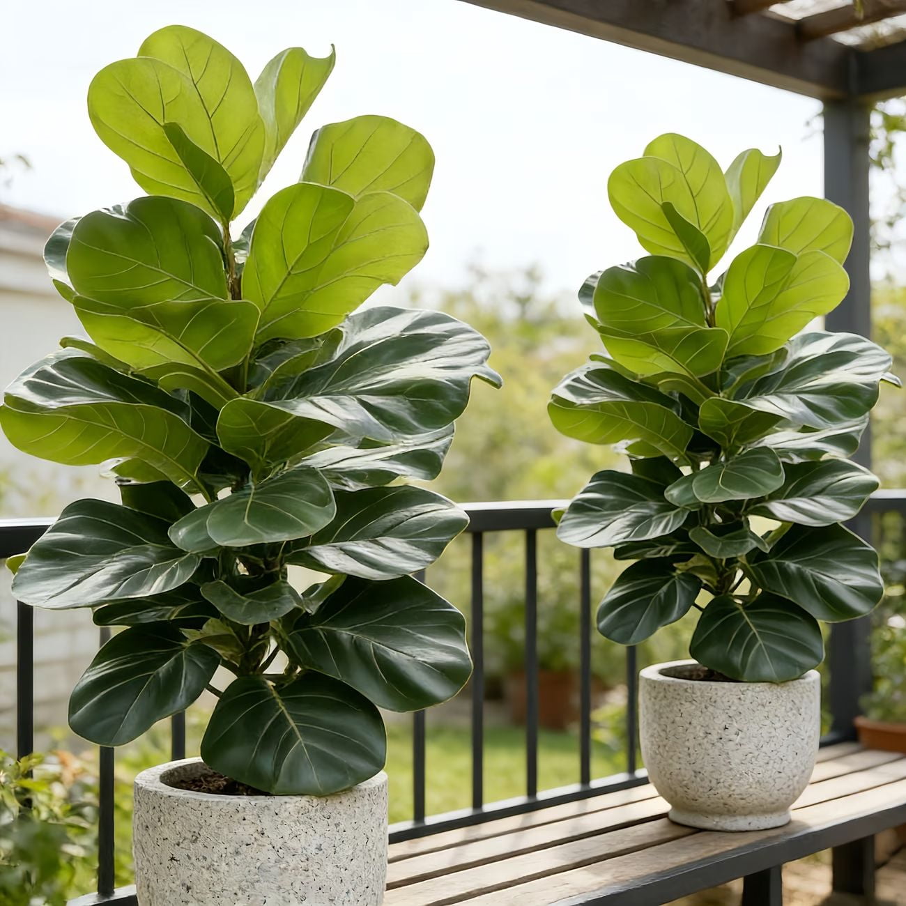 2 Pack 103cm Artificial Fiddle Leaf Fig Tree, Tall Fake Ficus Plant with Realistic Leaves, UV Resistant Tall Faux Floor Plant for Indoor Home Living Room Bedroom Decor, No Pot Needed