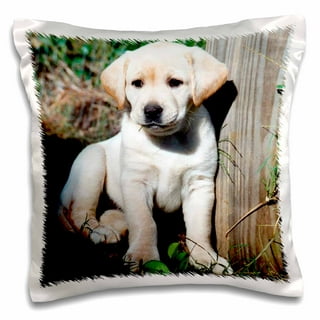 Yellow Lab Large Pillow