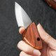 thumbnail image 4 of Navaja de bolsillo Mini navaja portátil de acero Herramienta multifuncional Navaja multiusos para cocina y exterior para cortar fruta y abrir paquetes con mango de metal y plástico, 4 of 8
