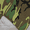 Woodland Camo, variant on The BIG BANDANA - The ORIGINAL AMERICAN BANDANA BIGGER THICKER 2X THE SIZE RED