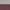 Maroon and Grey, variant on Dockem iPhone XS Max Luxe M2 Wallet Case; Built-in Metal Plate, 2 Card Holder Slots, Black/Grey