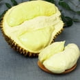 thumbnail image 5 of Hzzsbu Simulation Durian Artificial Durian Model Plastic Crafts Tabletop Decor Background nishings Props Decoration, 5 of 7