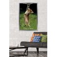 thumbnail image 4 of Famous Kitten Hang In There Poster Wall Poster, 22.375" x 34", 4 of 5