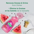 thumbnail image 4 of Palmolive Essential Clean Liquid Dish Soap, Watermelon Scented Dish Detergent, 828 ml Bottle, 4 of 7