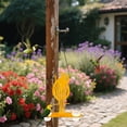 thumbnail image 7 of Eqslft Hanging Oriole Bird Feeder with Clear PP Bowl, Perch, and Attachment Prongs for Clementines, Mandarins, and Oranges Outdoor Decor for Garden Backyard Patio and Deck, 7 of 7