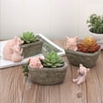 thumbnail image 6 of BOLLSLEY Animal Succulent Herb Planter Flower Basket Pot Trough Box Plant Easter Home Decor, Pig, 6 of 6