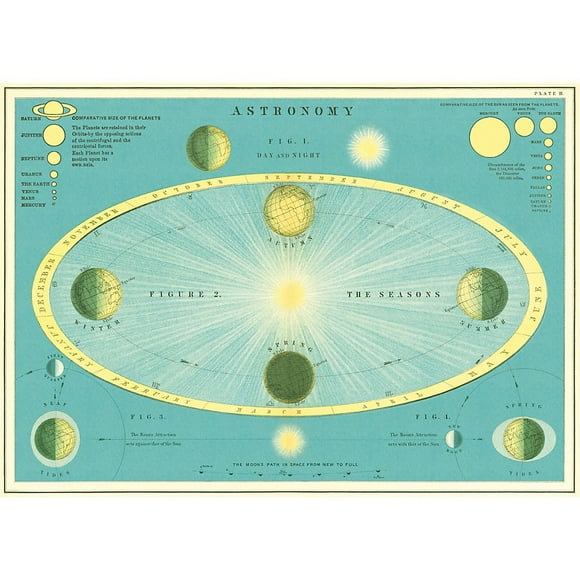 Cavallini Papier Décoratif - Feuille Astronomy 20 Pouces"x28 Pouces"
