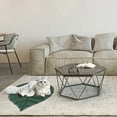 thumbnail image 4 of Thick Pet Floor Mat Leaf Shape for Cats and Dogs Ideal for Kennel and Cage Use Comfortable and Stylish Pet Bed Solution, 4 of 4