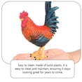 thumbnail image 3 of Miangastore 1Set Faux Rooster Model Vivid Colors Realistic Texture Educational Tool For Home, 3 of 9