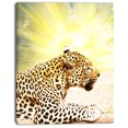 thumbnail image 2 of Ferocious Leopard At Sunrise - Animal Canvas Art Print, 2 of 3