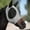 Grey, variant on Durable High Quality Mesh Face Guard Guard Grey Mesh Horse Fly Mesh Face Guard With Ears Comfort Elasticity Soft Sun Protection