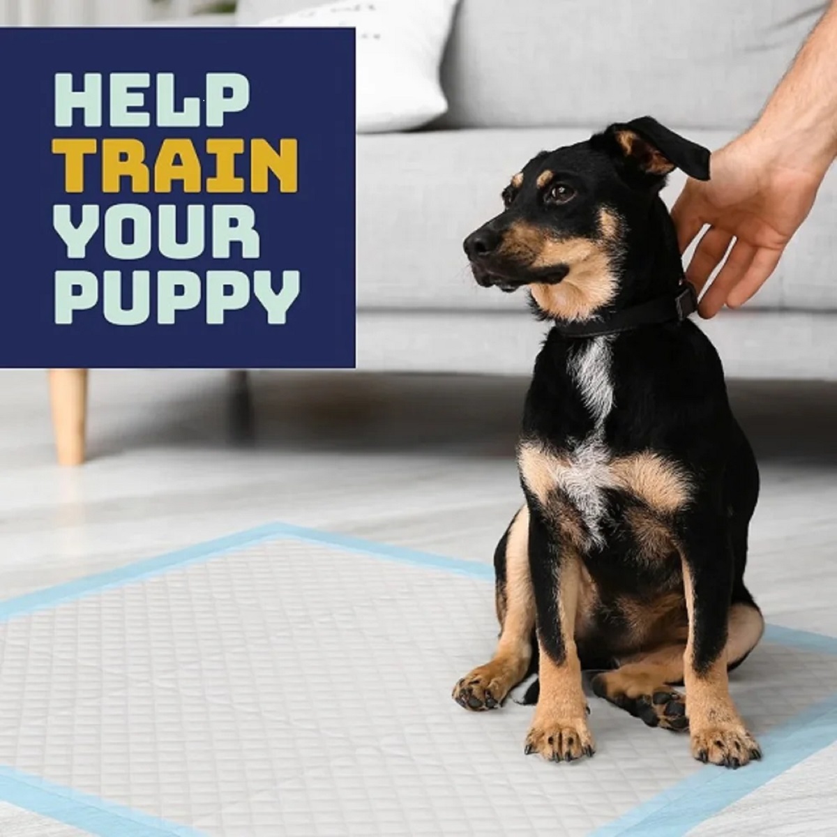 Katziela Washable Pee Pads, Waterproof Reusable Dog Pee Pads for Potty Training