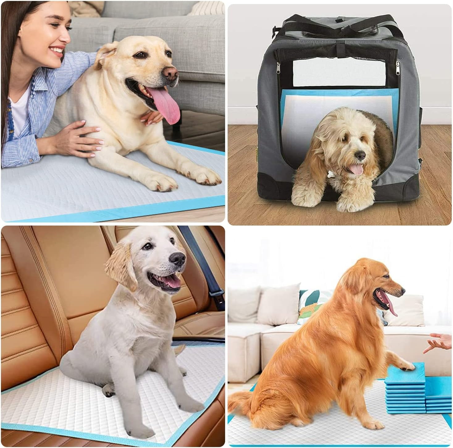 Dog and Puppy Training Pads, Potty Pads, Dog Pads Diapers Leak-Proof 6-Layer Pee Pads with Thicker Materials with Quick-Dry Surface for Potty Training Puppy Pads