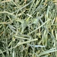 thumbnail image 2 of Oxbow Premium Alfalfa Hay Small Animal Food for Rabbits & Small Animals- 40 oz, 2 of 7