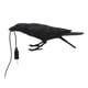 thumbnail image 1 of Lámpara de mesa con forma de pájaro, lámpara nórdica LED y de mesa con diseño de pájaro cuervo, decoración moderna para arte, lámparas de mesa, luz de noche para decoración de Negro, 1 of 9
