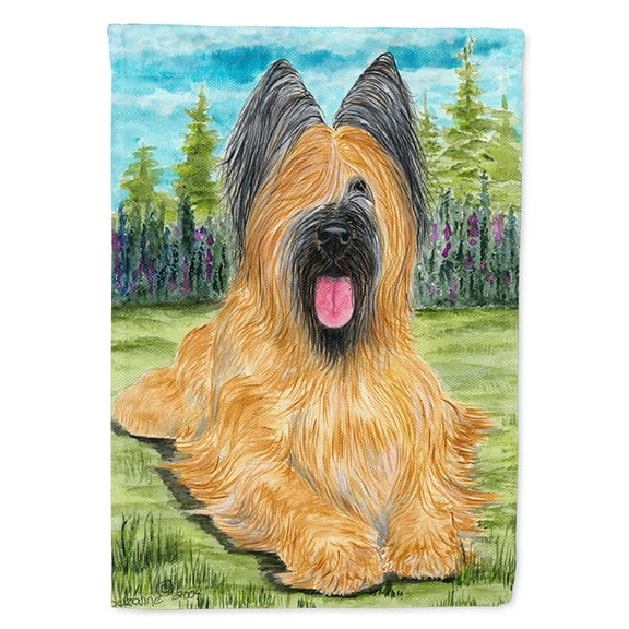 Briard Flag Canvas House Size