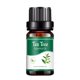 thumbnail image 2 of Aromatherapy Water Soluble Oil Aromatherapy Suitable For Humidifier 10ml, 2 of 5