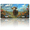 A Bull with a Flower Crown, variant on 1 Pcs 2D Flat License Plate Covers & Frames, Two Kittens Sleeping For Decorative Front, Waterproof For Decoration Aluminum License Plate Covers & Frames Cover For Men Women, 12" X 6"