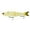 Bone Pearl, variant on 6th Sense – Draw 9.0 – Glide Bait – Bass Fishing – Designed with Pro AnglerBen Milliken – 9"