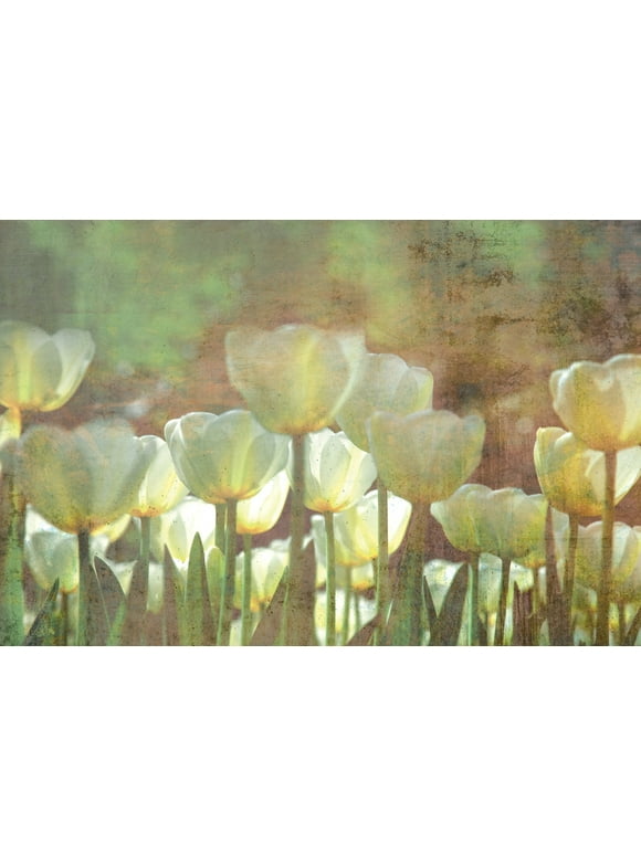 Dimex White Tulips Abstract Wall Mural
