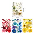 thumbnail image 2 of Dried Flowers Set Tools Makeup Real Flower Decal Handicraft Materials Colorful Pressed Specimen Label Art Decorations Red, 2 of 6
