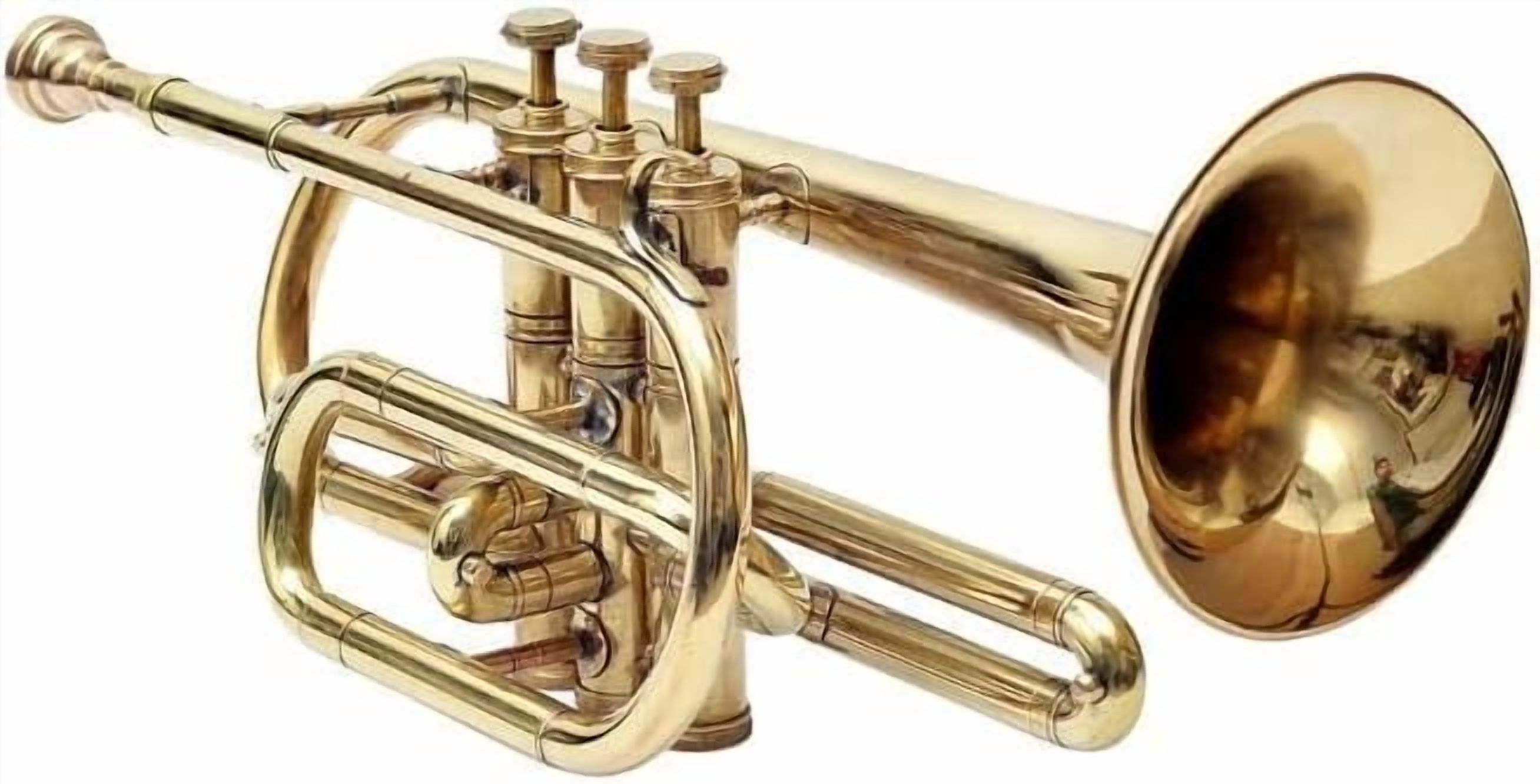全品割引 Denis Wick DW4880E-SM3MU GP マウスピースユーフォニアム
