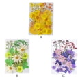 thumbnail image 3 of Matsuzay Flores secas naturales Artísticas Flores prensadas Belleza Joyas Decoraciones Postales decorativas Regalos para tarjetas de boda de resina Flores artificiales Typ 1 Matsuzay HA010799-01, 3 of 6