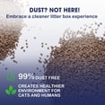 thumbnail image 3 of Catfidence Bamboo Cat Litter, 3 of 7