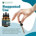 thumbnail image 3 of Rejuvica Health MunoMax - Herbal Immune Support Supplement with Elderberry, 3 of 7