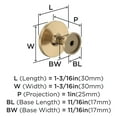 thumbnail image 4 of Amerock Loop 1-3/16 inch (30mm) Diameter Champagne Bronze Cabinet Knob - 10 Pack, 4 of 5