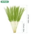 thumbnail image 3 of Uxcell 20 Paquete de Pasto de Pampas Falso 21.7" para Decoración del Hogar Boda Verde Hierba, 3 of 6