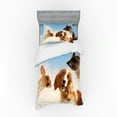 thumbnail image 2 of Ambesonne Funny Bedding Set 4 Pcs, Cats Dogs in Sky Clouds, Queen, Multicolor, 2 of 3