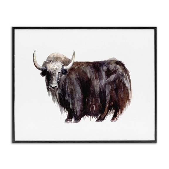Stupell Industries Cottage Shaggy Cattle Watercolor Farm Animal Yak Portrait Black Framed Giclee Art, 14 x 11, by Fox Hollow Studios