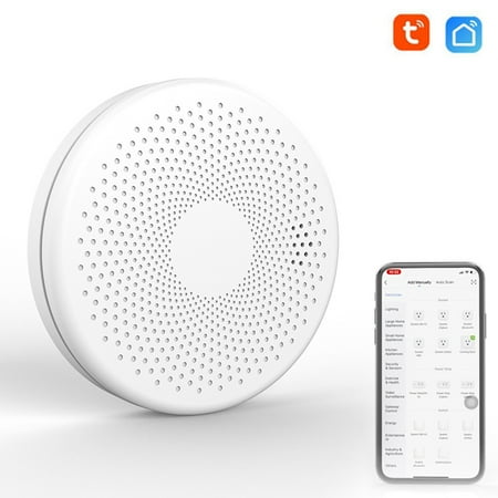 Dcenta Tuya WiFi 2 In 1 Intelligent Smokes Carbon Monoxide Detector Gases Detectors Sound Flash Light Alarm Function